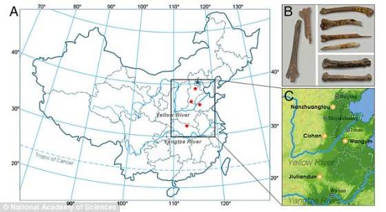 Location of chicken fossils, Yellow River area, China (Daily Mail)